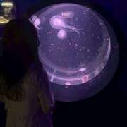 ヒメ日記 2026/02/06 17:39 投稿 えと ビギナーズ和歌山