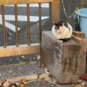 りり りりだよー！次の登校日決定したよん🎒 新宿・本格コスプレ素人アイドル学園イメクラ「新入生」