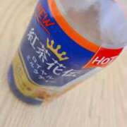 ヒメ日記 2026/02/02 16:10 投稿 えみ 愛知三河安城岡崎ちゃんこ