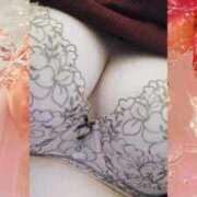 ヒメ日記 2026/02/25 16:10 投稿 えみ 愛知三河安城岡崎ちゃんこ