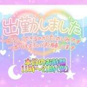 ヒメ日記 2025/12/07 11:00 投稿 新人めい33歳 夫を卒業する人妻たち
