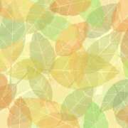 ヒメ日記 2025/12/13 11:00 投稿 新人めい33歳 夫を卒業する人妻たち