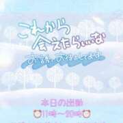 ヒメ日記 2025/12/17 11:00 投稿 新人めい33歳 夫を卒業する人妻たち