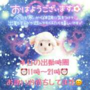 ヒメ日記 2025/12/29 11:00 投稿 新人めい33歳 夫を卒業する人妻たち