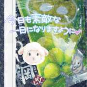 ヒメ日記 2026/01/07 14:37 投稿 新人めい33歳 夫を卒業する人妻たち