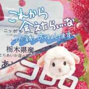 ヒメ日記 2026/01/08 11:00 投稿 新人めい33歳 夫を卒業する人妻たち