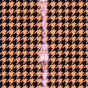 ヒメ日記 2026/01/16 13:01 投稿 新人めい33歳 夫を卒業する人妻たち