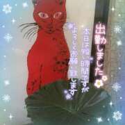 ヒメ日記 2026/01/19 14:01 投稿 新人めい33歳 夫を卒業する人妻たち