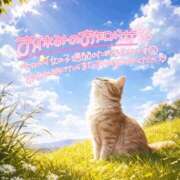 ヒメ日記 2026/01/22 14:37 投稿 新人めい33歳 夫を卒業する人妻たち