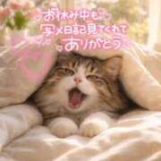 ヒメ日記 2026/01/26 23:06 投稿 新人めい33歳 夫を卒業する人妻たち