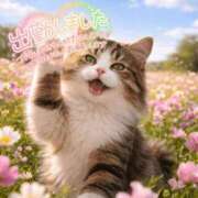 ヒメ日記 2026/01/27 11:01 投稿 新人めい33歳 夫を卒業する人妻たち