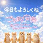 ヒメ日記 2026/01/31 10:02 投稿 新人めい33歳 夫を卒業する人妻たち