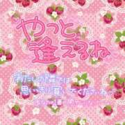 ヒメ日記 2026/02/18 11:00 投稿 新人めい33歳 夫を卒業する人妻たち