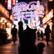 ヒメ日記 2026/02/20 21:01 投稿 新人めい33歳 夫を卒業する人妻たち