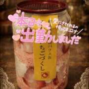 ヒメ日記 2026/02/28 10:02 投稿 新人めい33歳 夫を卒業する人妻たち