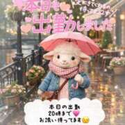 ヒメ日記 2026/03/03 16:15 投稿 新人めい33歳 夫を卒業する人妻たち