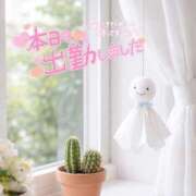 ヒメ日記 2026/03/10 10:14 投稿 新人めい33歳 夫を卒業する人妻たち