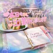 ヒメ日記 2026/03/17 11:01 投稿 新人めい33歳 夫を卒業する人妻たち