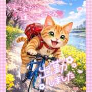 ヒメ日記 2026/03/18 11:00 投稿 新人めい33歳 夫を卒業する人妻たち