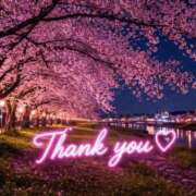 ヒメ日記 2026/03/29 20:16 投稿 新人めい33歳 夫を卒業する人妻たち