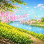 ヒメ日記 2026/04/08 12:04 投稿 新人めい33歳 夫を卒業する人妻たち