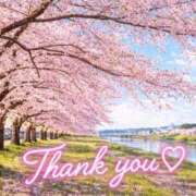 ヒメ日記 2026/04/12 11:17 投稿 新人めい33歳 夫を卒業する人妻たち