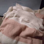 ヒメ日記 2026/04/20 16:20 投稿 きら アキバの放課後