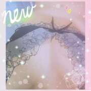 ヒメ日記 2025/12/26 15:00 投稿 瀬戸さき ミセス大阪十三店