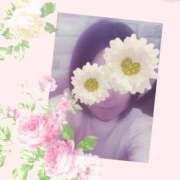 ヒメ日記 2026/02/15 11:24 投稿 瀬戸さき ミセス大阪十三店