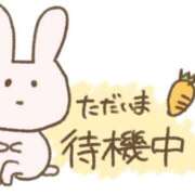 ヒメ日記 2026/02/20 14:15 投稿 瀬戸さき ミセス大阪十三店