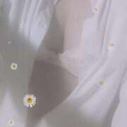 ヒメ日記 2026/03/05 14:32 投稿 瀬戸さき ミセス大阪十三店