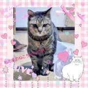 ヒメ日記 2026/03/21 08:24 投稿 瀬戸さき ミセス大阪十三店