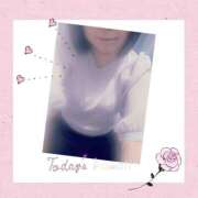 ヒメ日記 2026/04/20 10:15 投稿 瀬戸さき ミセス大阪十三店