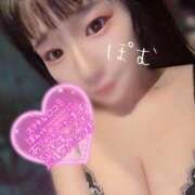 ヒメ日記 2025/12/08 16:51 投稿 ぽむ☆むさぼりたくなる身体つき じゃむじゃむ