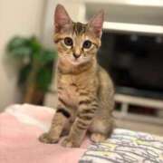 りょう morning❄️🫧 Ace(エース)