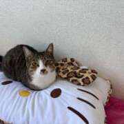 ヒメ日記 2025/12/12 07:24 投稿 りょう Ace(エース)