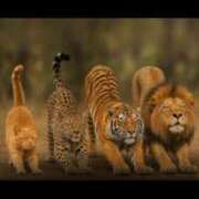 ヒメ日記 2026/01/08 16:52 投稿 りょう Ace(エース)