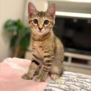 ヒメ日記 2026/01/13 07:13 投稿 りょう Ace(エース)