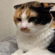 ヒメ日記 2026/01/30 12:40 投稿 りょう Ace(エース)