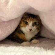 ヒメ日記 2026/02/13 01:12 投稿 りょう Ace(エース)