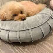 りょう お詫び🥲 Ace(エース)