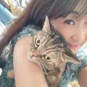 ヒメ日記 2026/03/15 02:08 投稿 ゆめさき 熟女の風俗最終章 沼津店