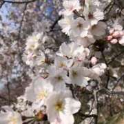 ひめ ひめ（エコ天王寺店） スピードエコ天王寺店