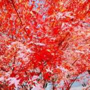 きりか こんにちは? タレント倶楽部アダルト