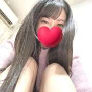 ヒメ日記 2025/12/17 09:33 投稿 のこ BLUE BIRD (ブルーバード) 上越