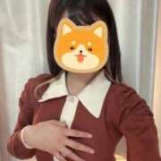 ヒメ日記 2025/12/08 16:14 投稿 るる ホワイトベル