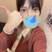 ヒメ日記 2025/12/08 23:33 投稿 るる ホワイトベル