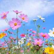 ヒメ日記 2026/01/21 20:16 投稿 松嶋れい ミセスレディ