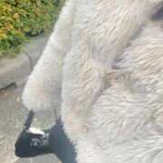 ヒメ日記 2025/12/06 12:07 投稿 ゆあ 秋葉原鑑賞ガール