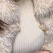 ヒメ日記 2025/12/10 18:47 投稿 ゆあ 秋葉原鑑賞ガール